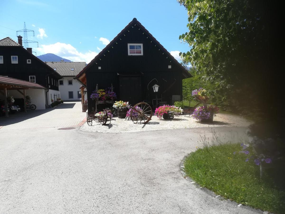 Tischlmuehle Appartements & Mehr Grobming Exterior photo